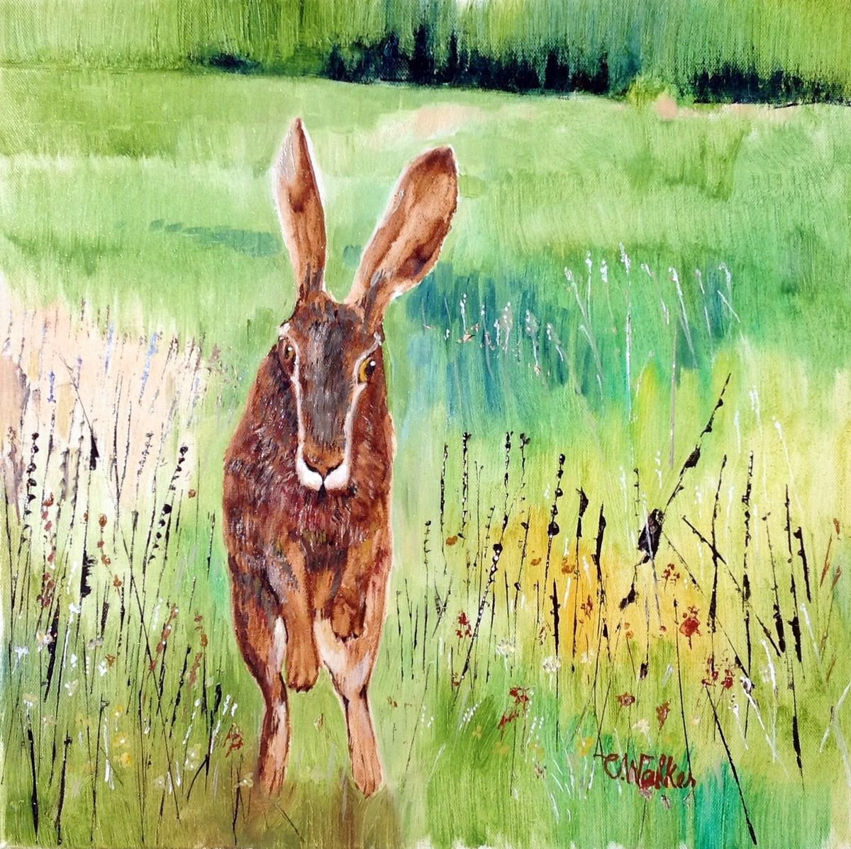 Hare by Chris Walker