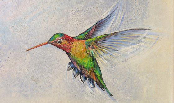 Shining Sun and Hummingbirds