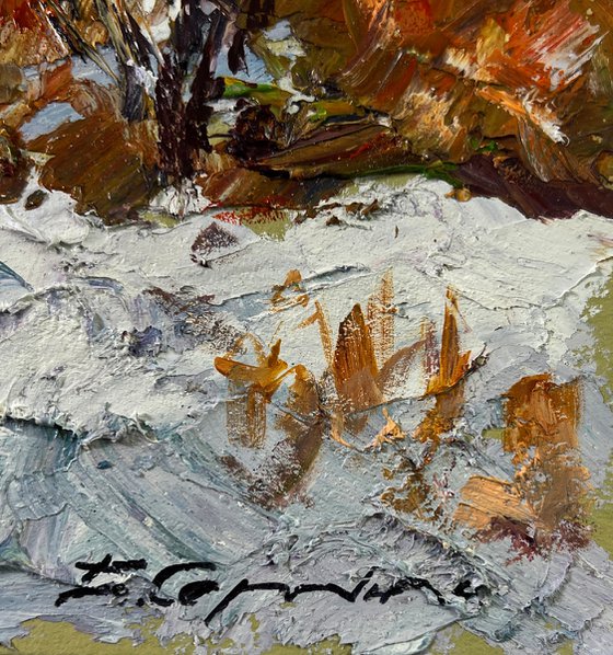 Snowy Road in the Forest