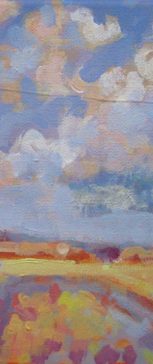 LANDSCAPE (SUMMER 2) by LENKA STASTNA