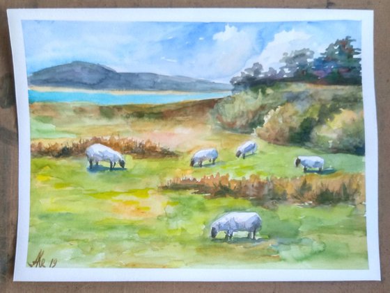 Scottish landscape with sheep