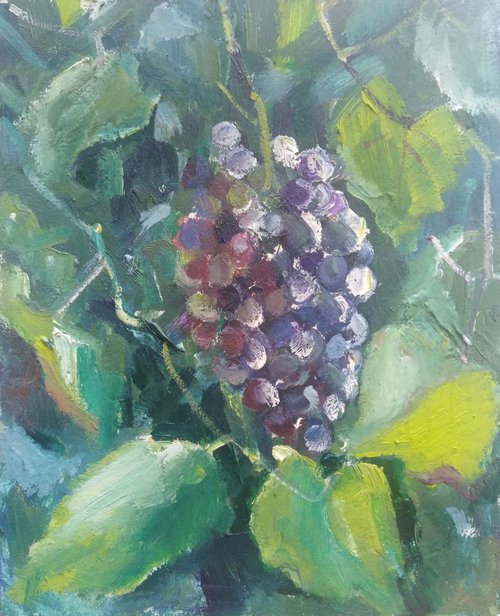 Grape is a life-2 by Oxana Raduga