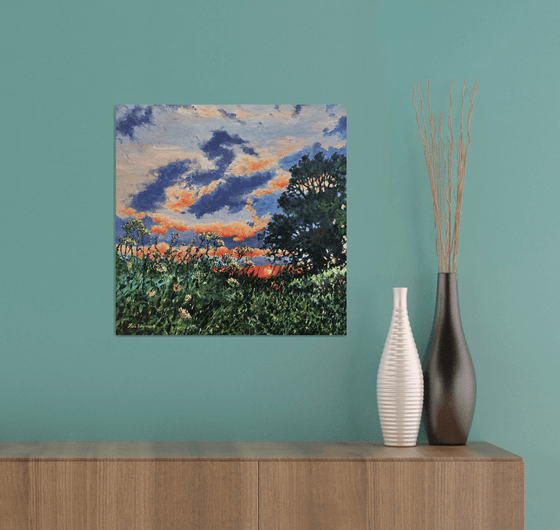 Evening Light - Sunset