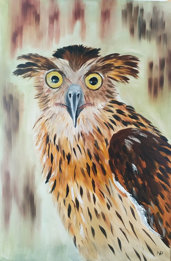 Hello brother! original owl oil painting, funny face, gift idea, art for home