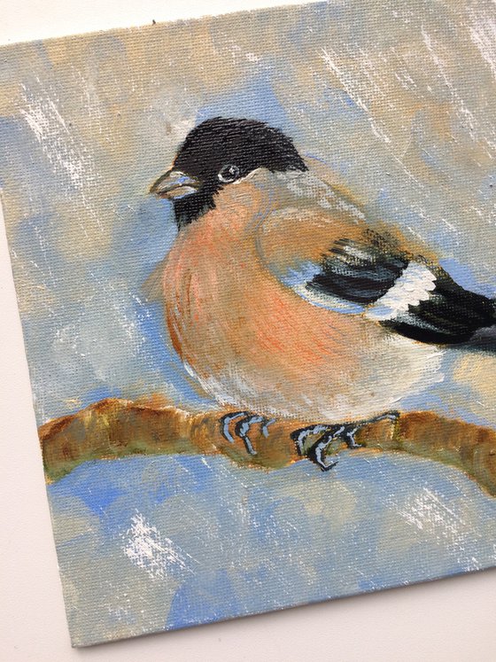 Bird oil painting - Bullfinch female small canvas art - Christmas gift for bird lover (2021)