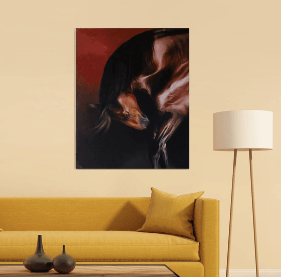 Lusitano stallion in red