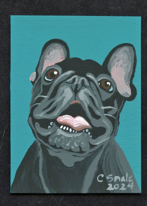 Black French Bulldog by Carla Smale