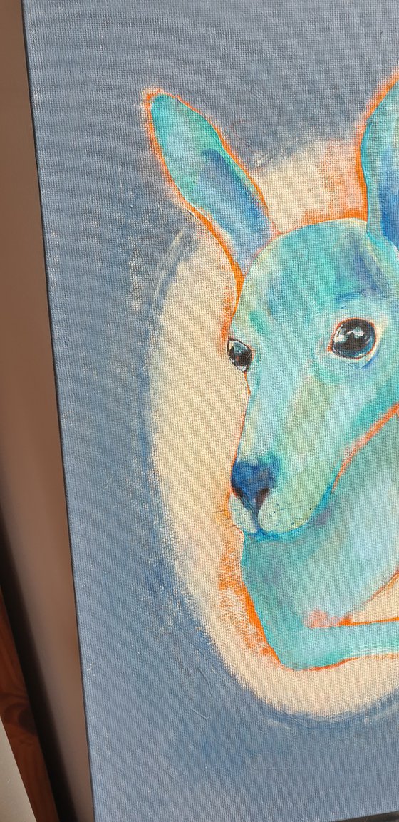 Baby kangaroo portrait