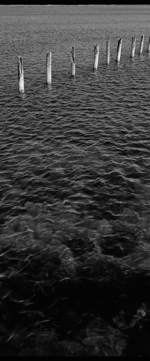 Poles In The Water by Tom Hanslien
