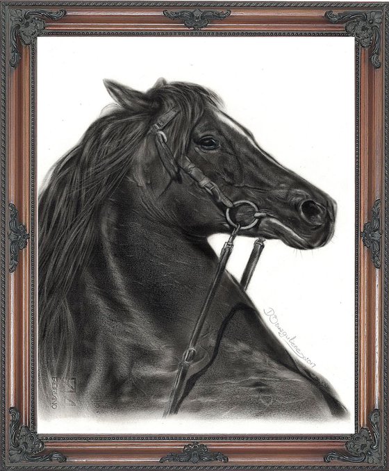 Oil painting ,,  Horse ARTAX,,