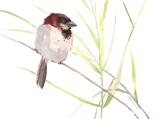 Sparrow Bird artwork