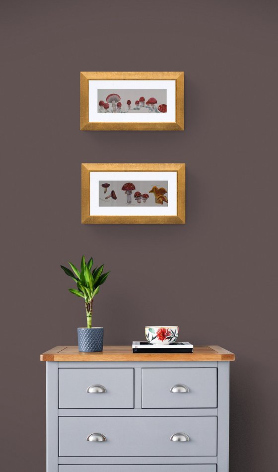 Fly-agarics