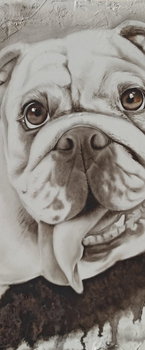 BRISCOLA - ritratto di un BULLDOG by Nicoletta Bagatti