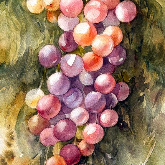 Ripe and Ready_Grapes