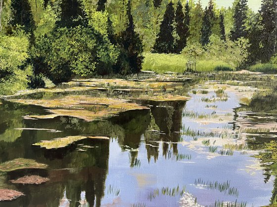 Marshlands near Sudbury