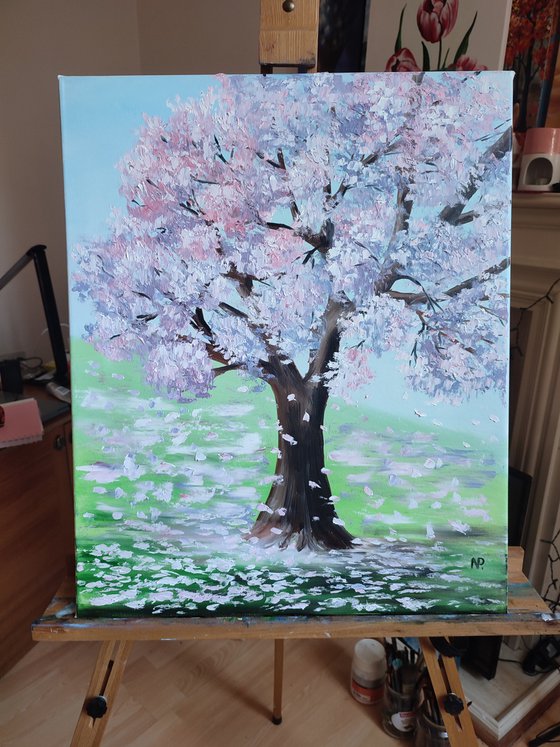 Sakura is blooming