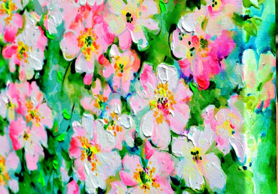 Wild White and Pink Roses