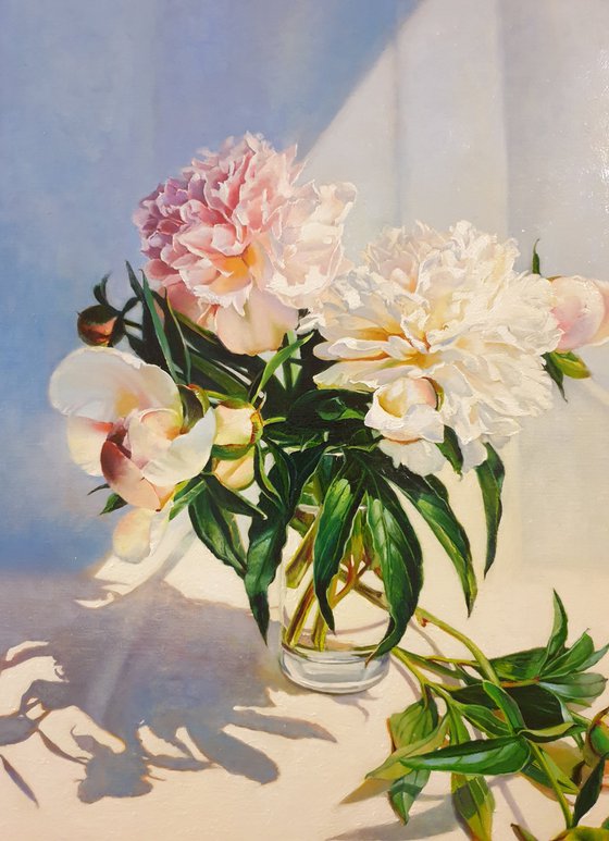 "Peonies bathe in sunlight."