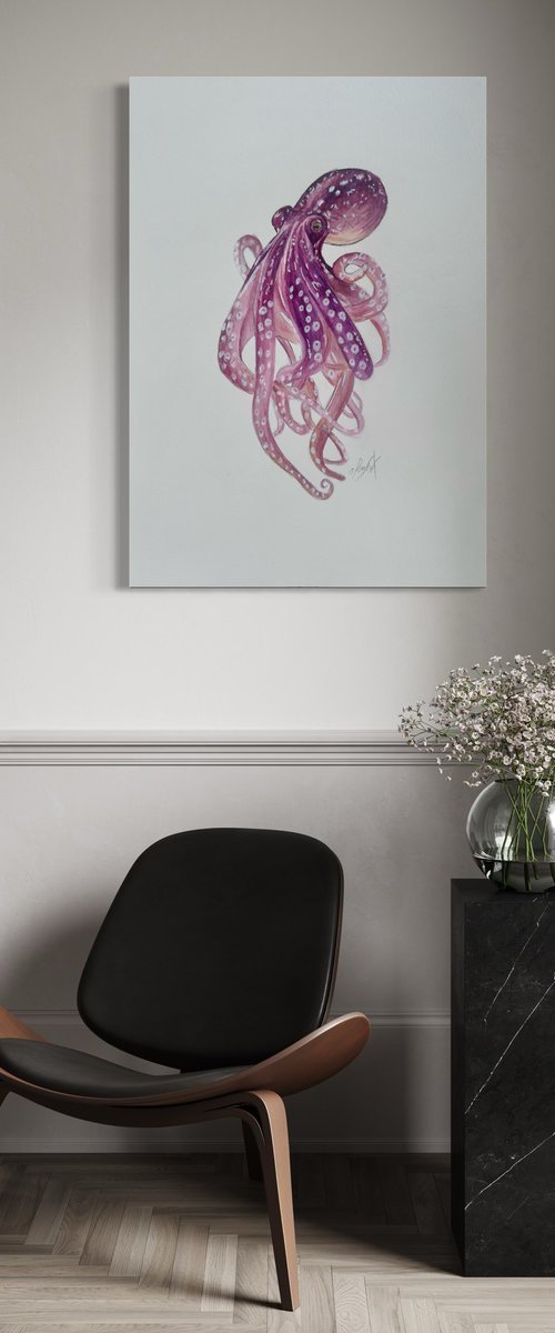 Octopus by Amelia Taylor