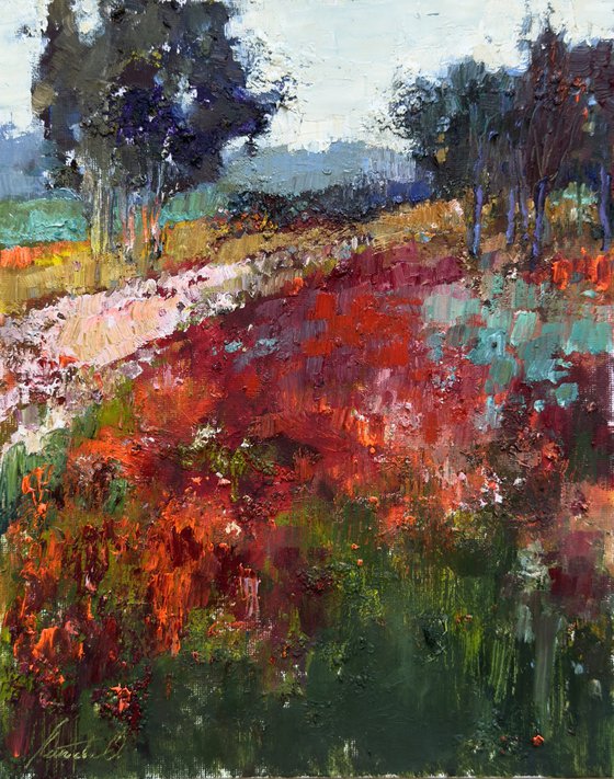 Poppy field