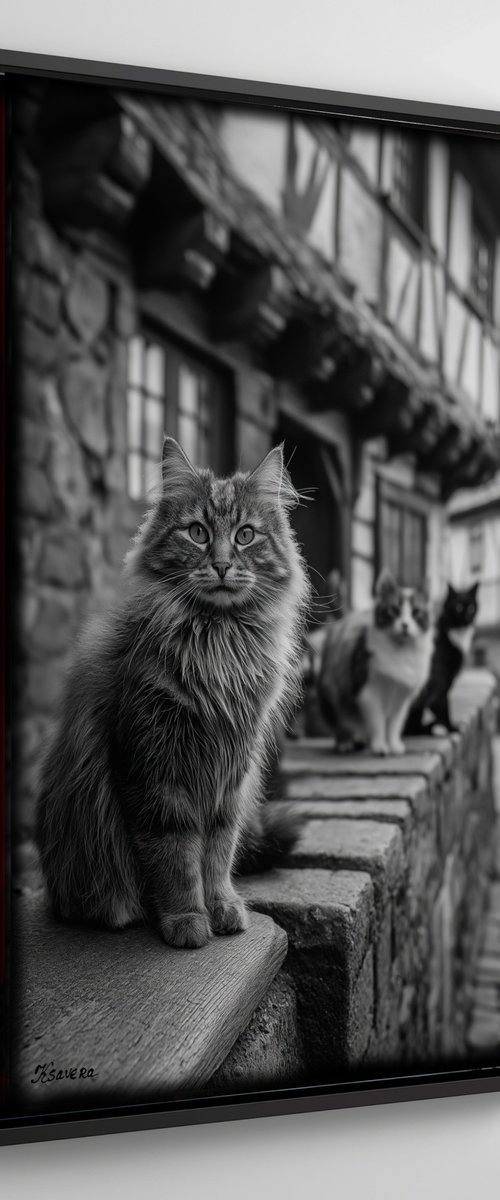 Cats in village B0805M by Ksavera