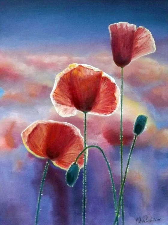 Poppies (Framed)