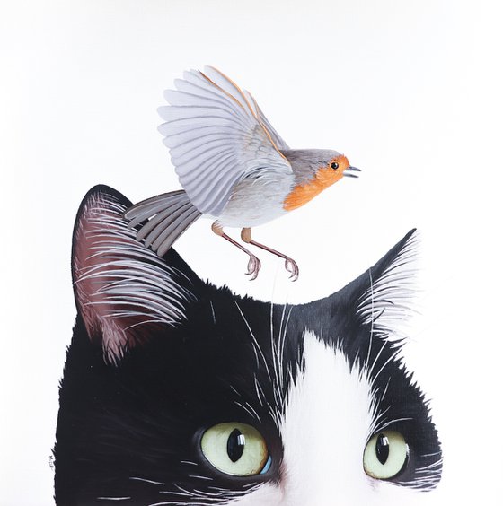 BIRD AND CAT 12