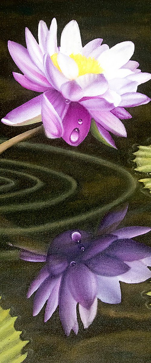 Purple Waterlily Reflections by Juan Bernal