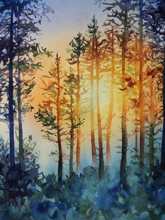 Sunset in the forest