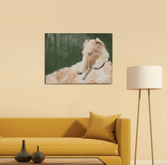Greyhound.