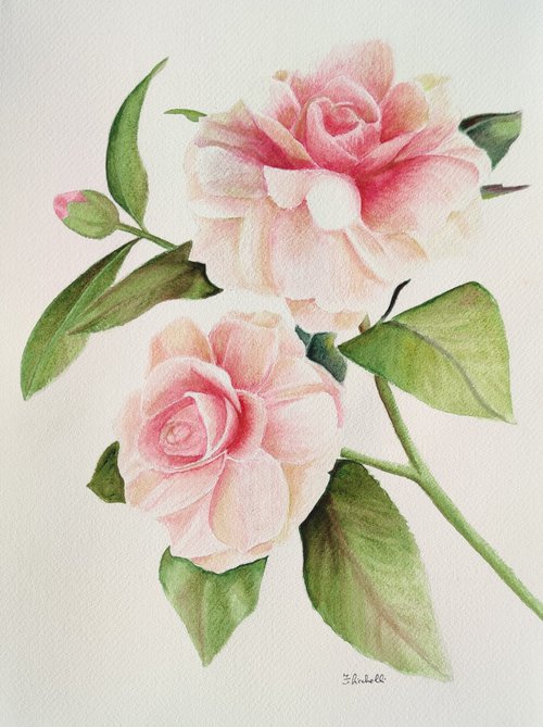 Roses by Francesca Licchelli