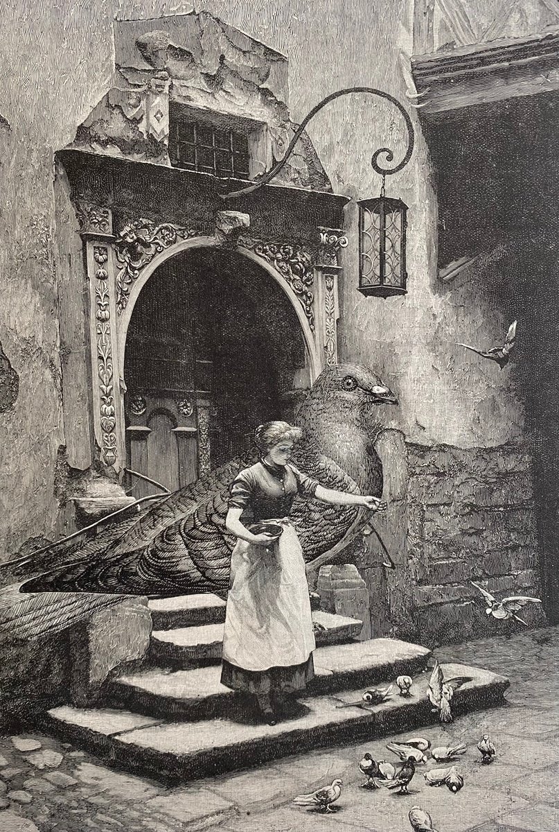 Surrealistic Portrait Collage By Tudor Evans, 7 X 10", Roman Doves And Pigeon, Original Artwork