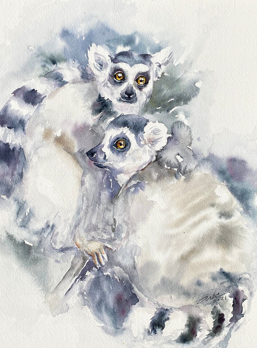 Ring-tailed Pals by Arti Chauhan