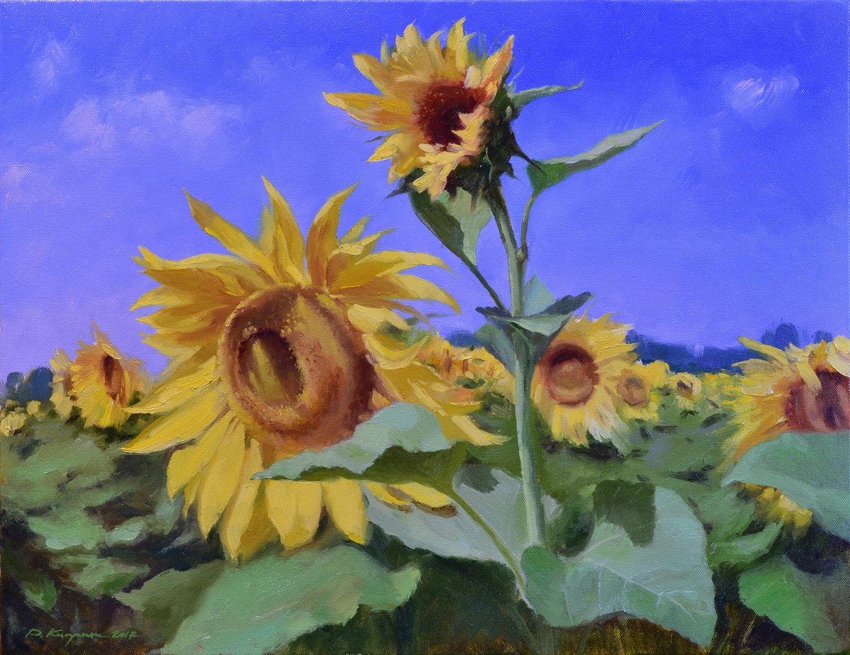 Impressionistic Botanical Oil Painting By Ruslan Kiprych, 26 X 20", Sunflowers, Original Artwork