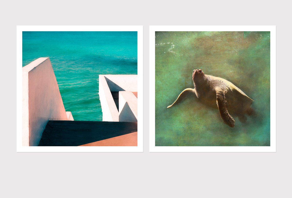 Composition Green and Sea Turtle (2 artworks) by Nadia Attura