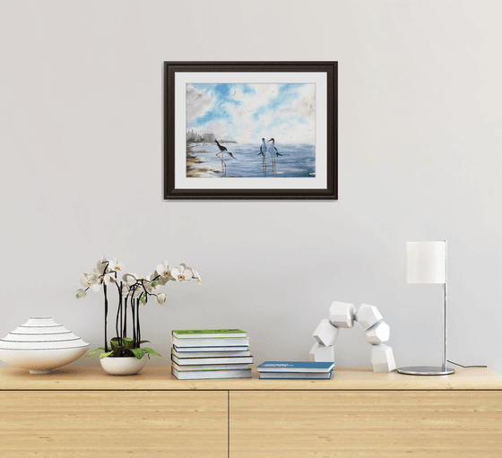 Seascape Wild birds Sunset