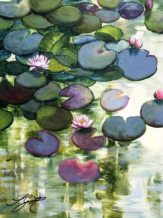 Always Waterlilies 8