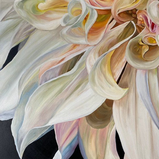 Magic Dahlia Petals