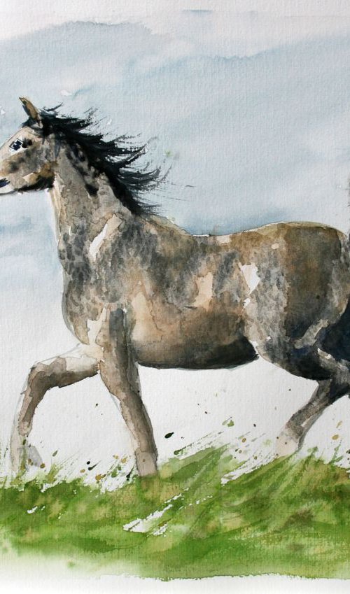 Horse VII  / Original Painting by Salana Art Gallery