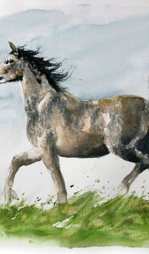 Horse VII  / Original Painting by Salana Art