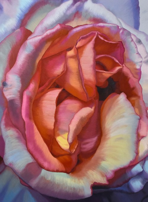 Desert Rose by Chloe Hedden
