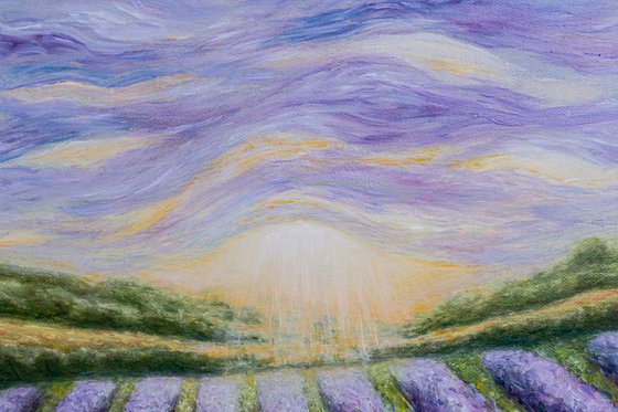 Lavender Horizon