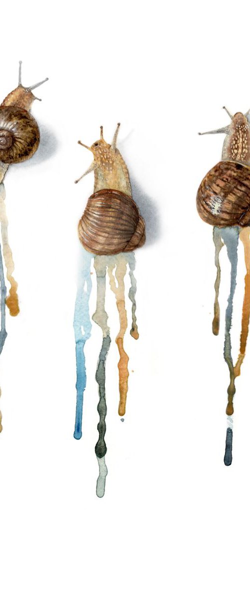 The Feat of 3 Snails - cochlea by Olga Beliaeva Watercolour
