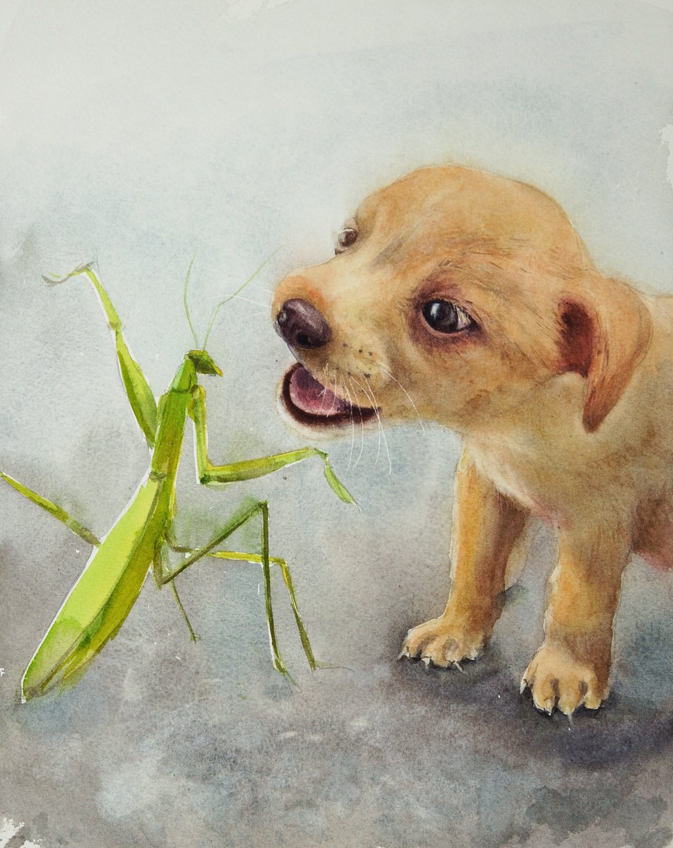 Puppy and Praying Mantis - cute puppy by Olga Beliaeva Watercolour