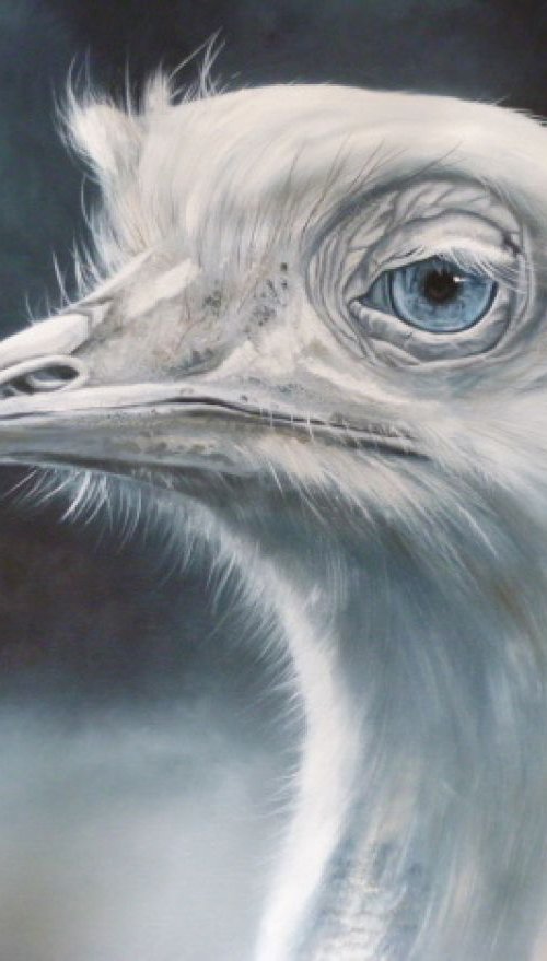 'Funny Bird' by Nicola Colbran