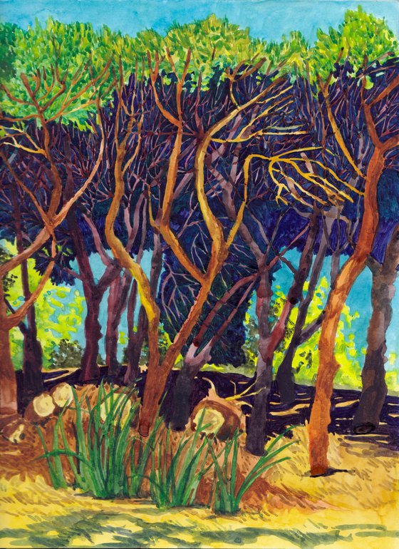 Pine Trees