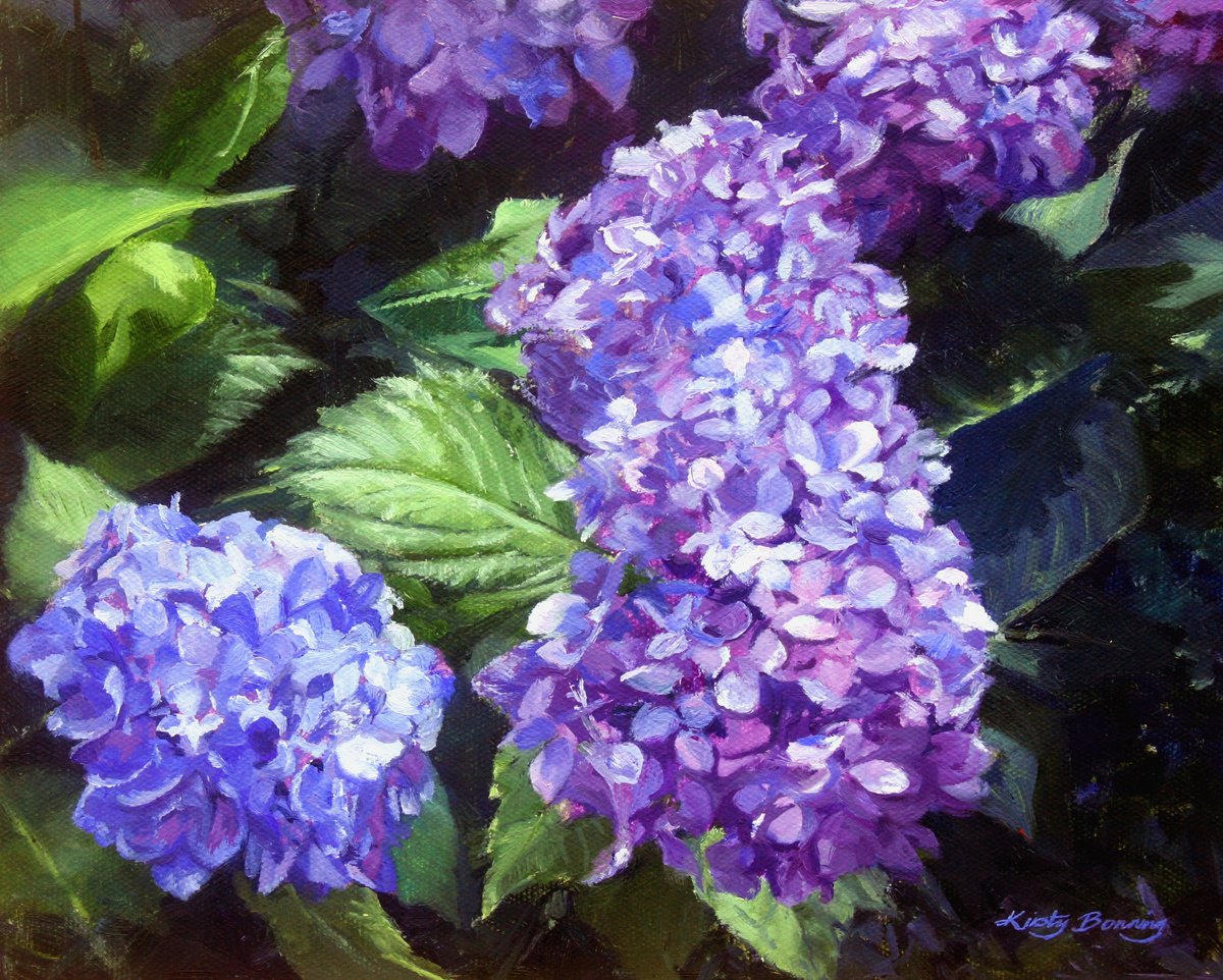 Blue Hydrangeas by Kirsty Bonning