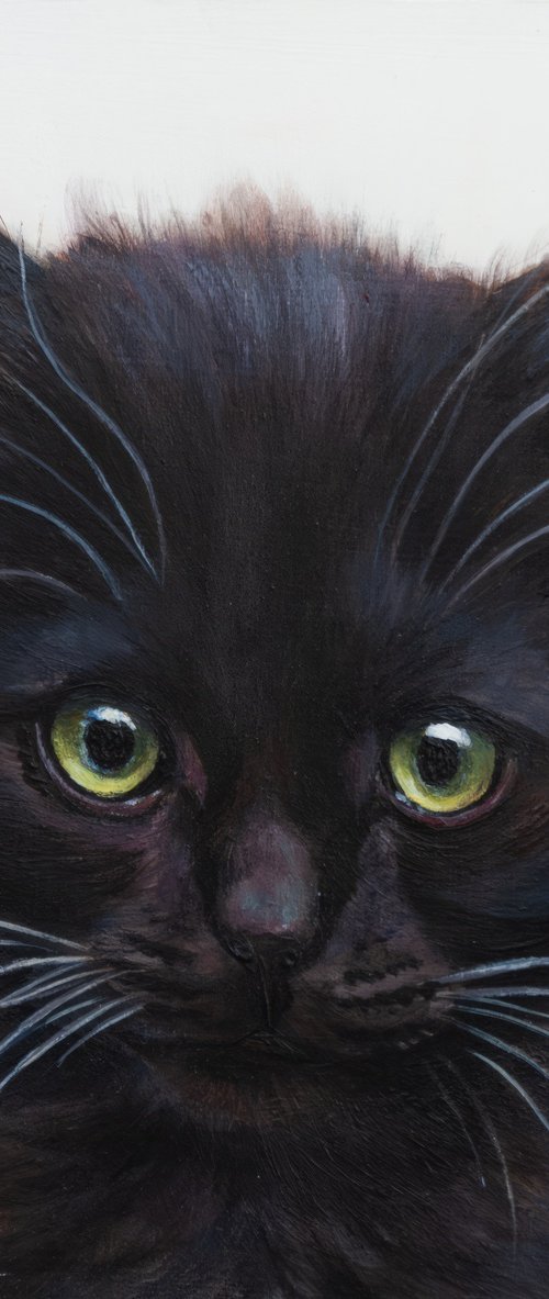 Black Kiten by Norma Beatriz Zaro