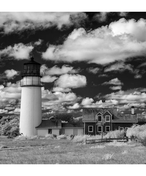 Highland Light - 30 x 15" by Brooke T Ryan