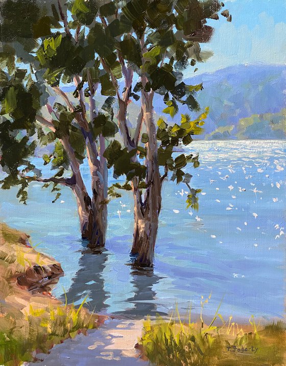 Reflections Plein Air Landscape